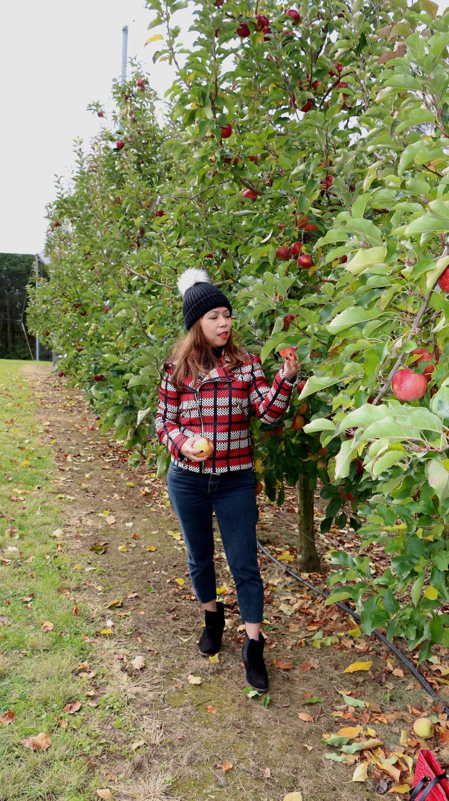 What to wear when picking apples