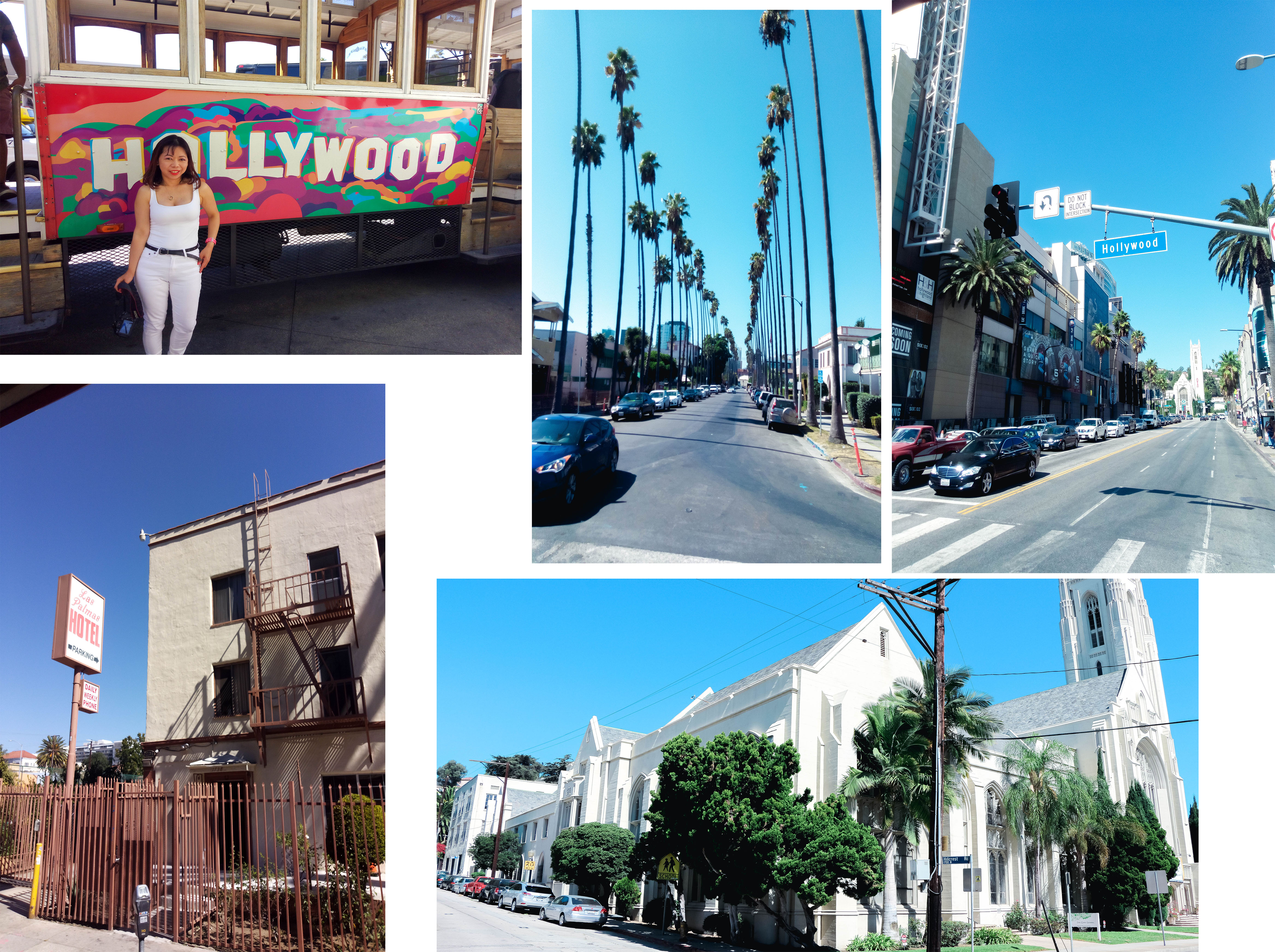 Hollywood Tours