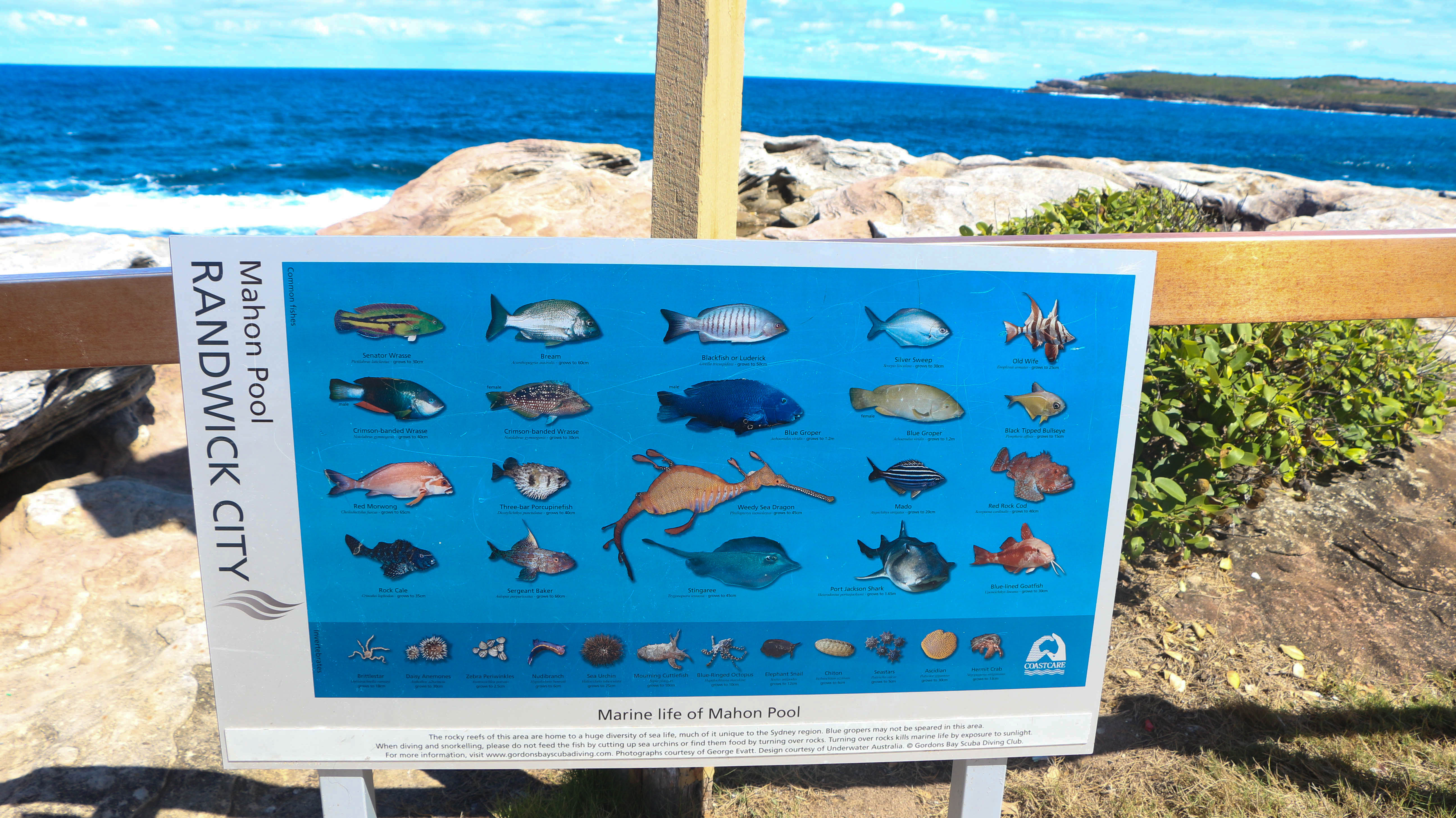 Where to go fishing in Sydney