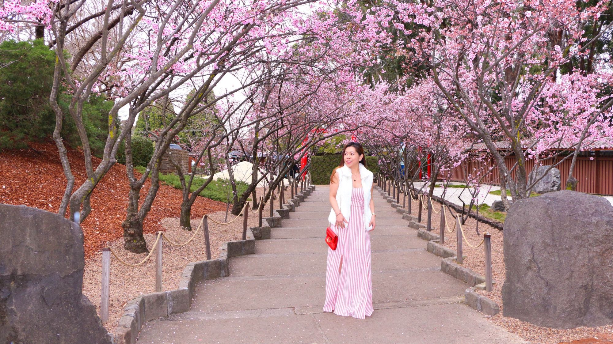 cherry-blossoms-is-a-stunning-backdrop-for-farm-weddings