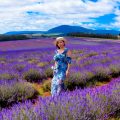 Bridestowe Lavender review
